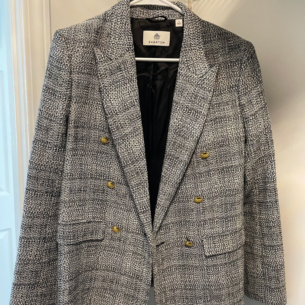 Aritzia Babaton blazer
